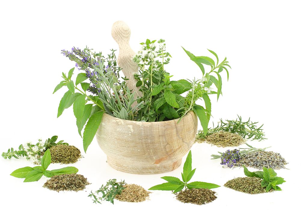 Extratos vegetais na composição do produto