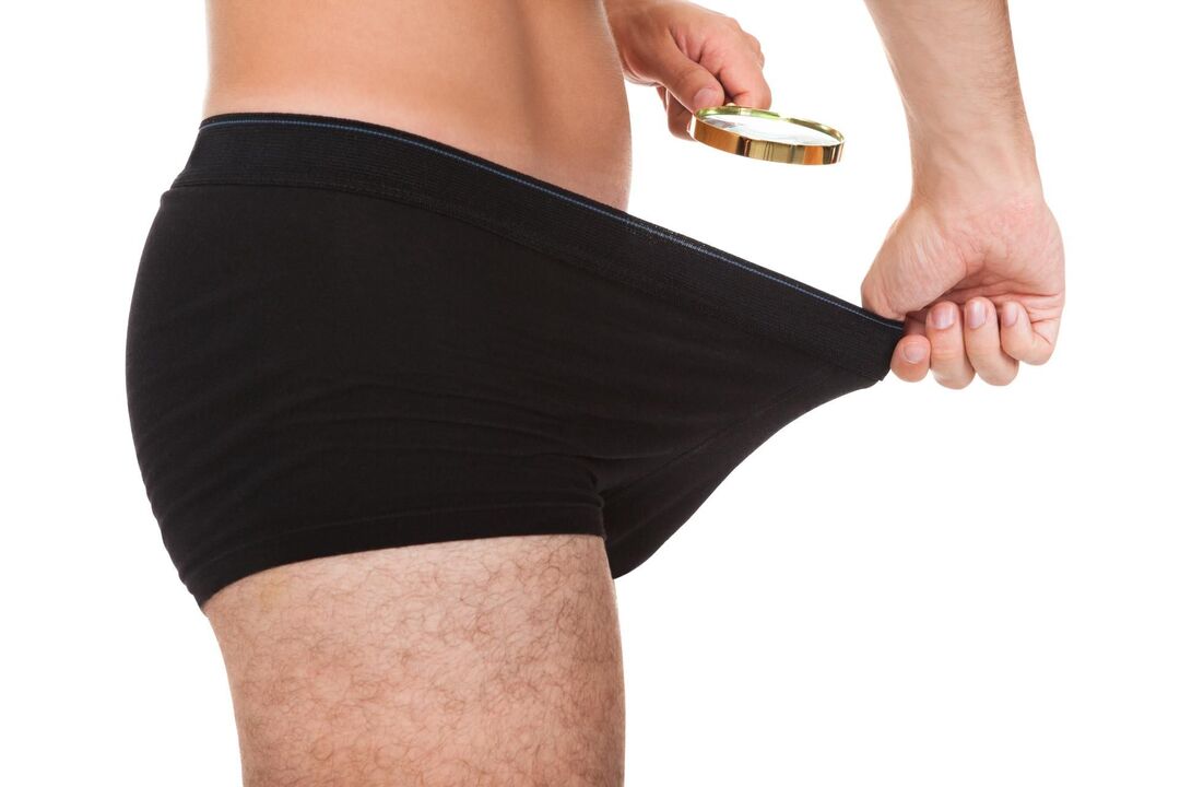 tamanho normal do órgão masculino