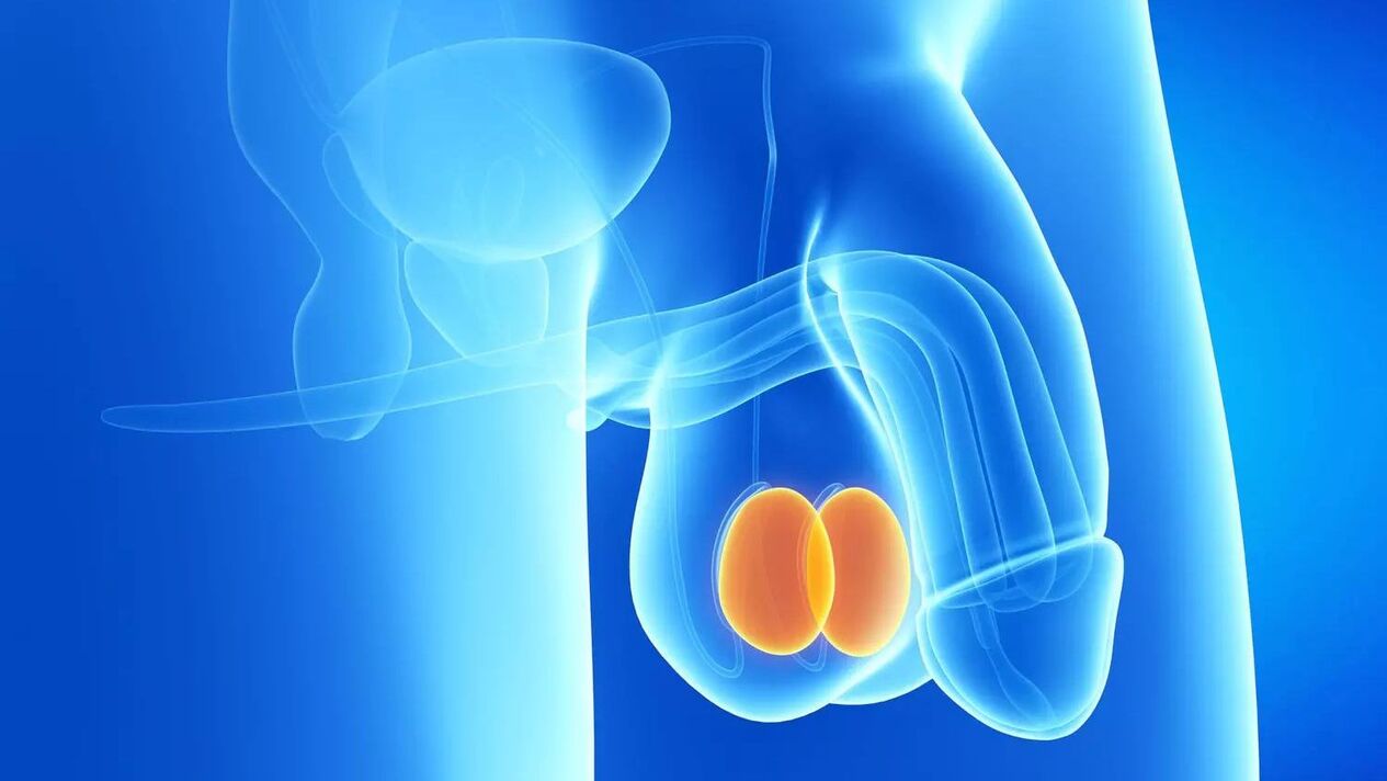 custo da cirurgia de aumento do pênis